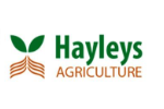 logo image